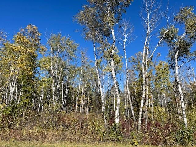 Photo 1 of 1 Ironwood Point Road, Hillside Beach MB