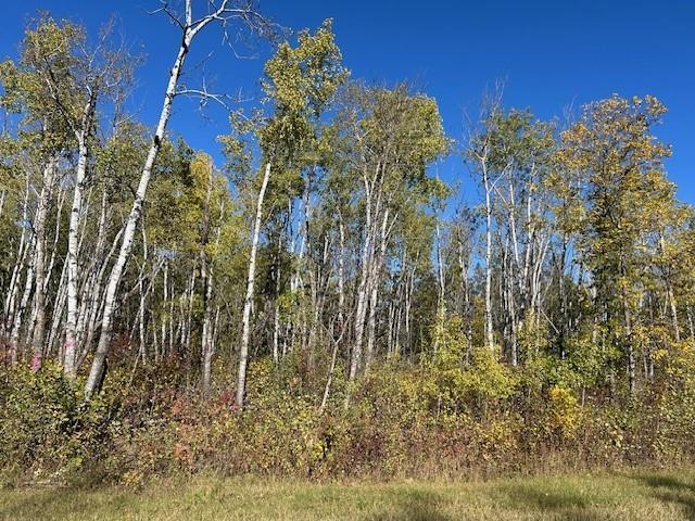 Photo 3 of 1 Ironwood Point Road, Hillside Beach MB