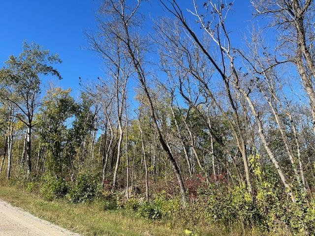 Photo 4 of 1 Ironwood Point Road, Hillside Beach MB