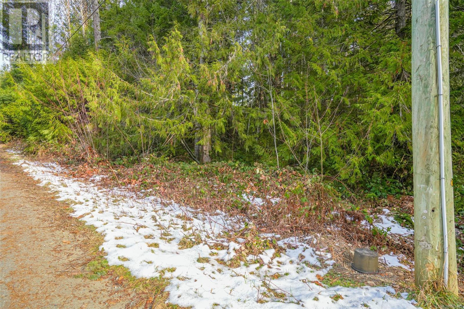 10440 Wilson Rd, Port Alberni real estate listing 978485