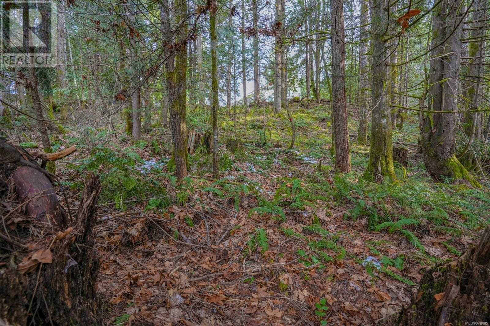 10440 Wilson Rd, Port Alberni real estate listing 978485