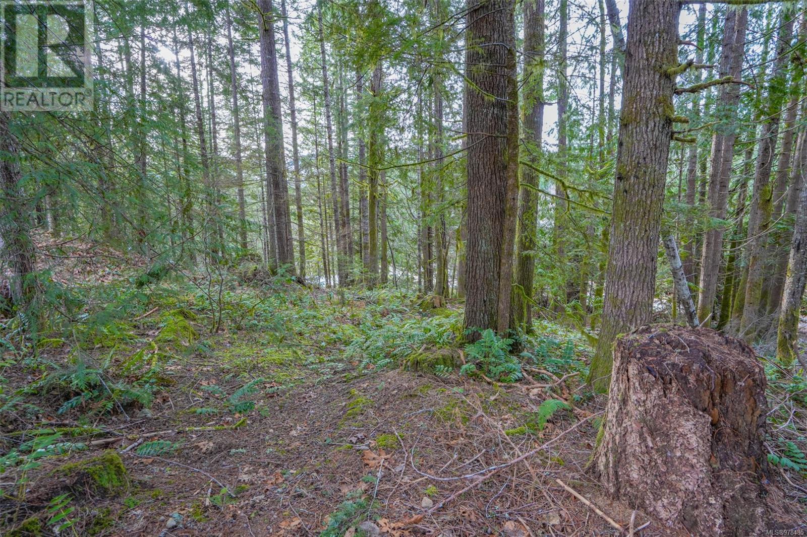 10440 Wilson Rd, Port Alberni real estate listing 978485