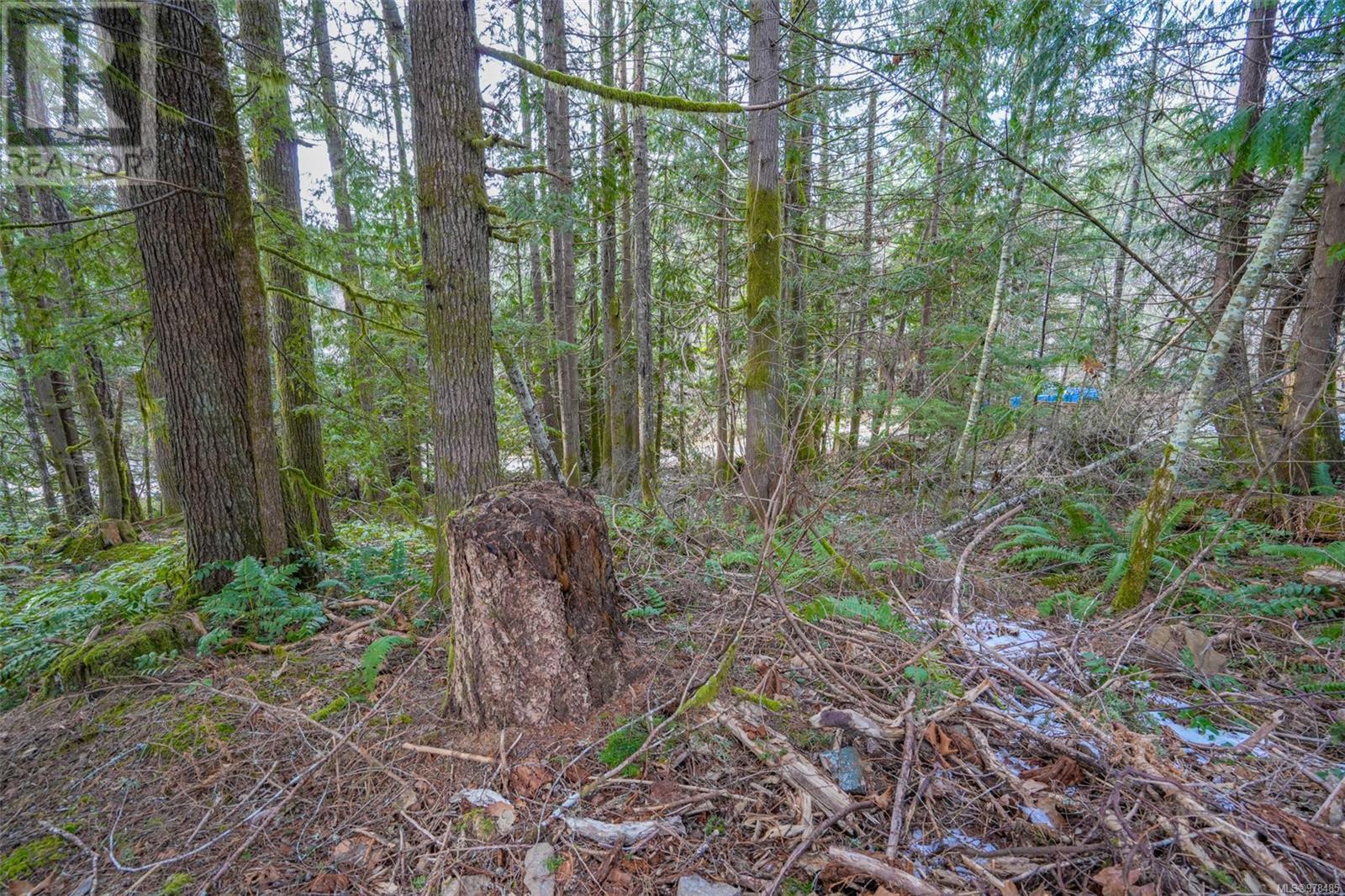 10440 Wilson Rd, Port Alberni real estate listing 978485