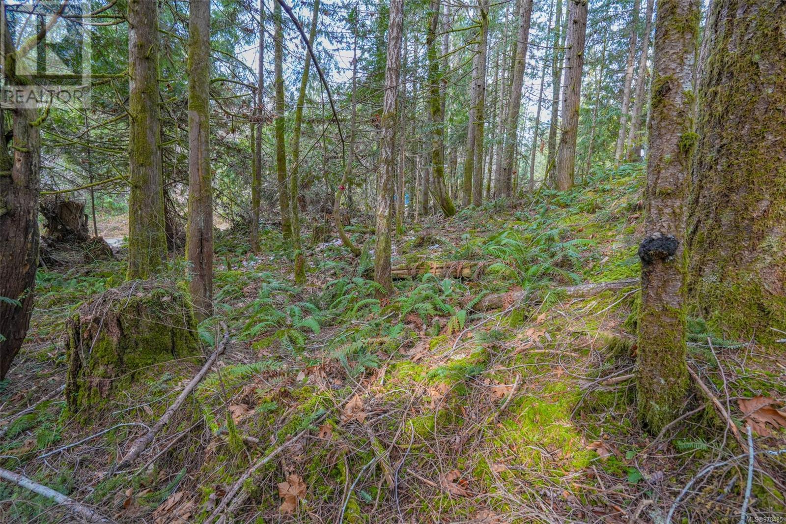 10440 Wilson Rd, Port Alberni real estate listing 978485