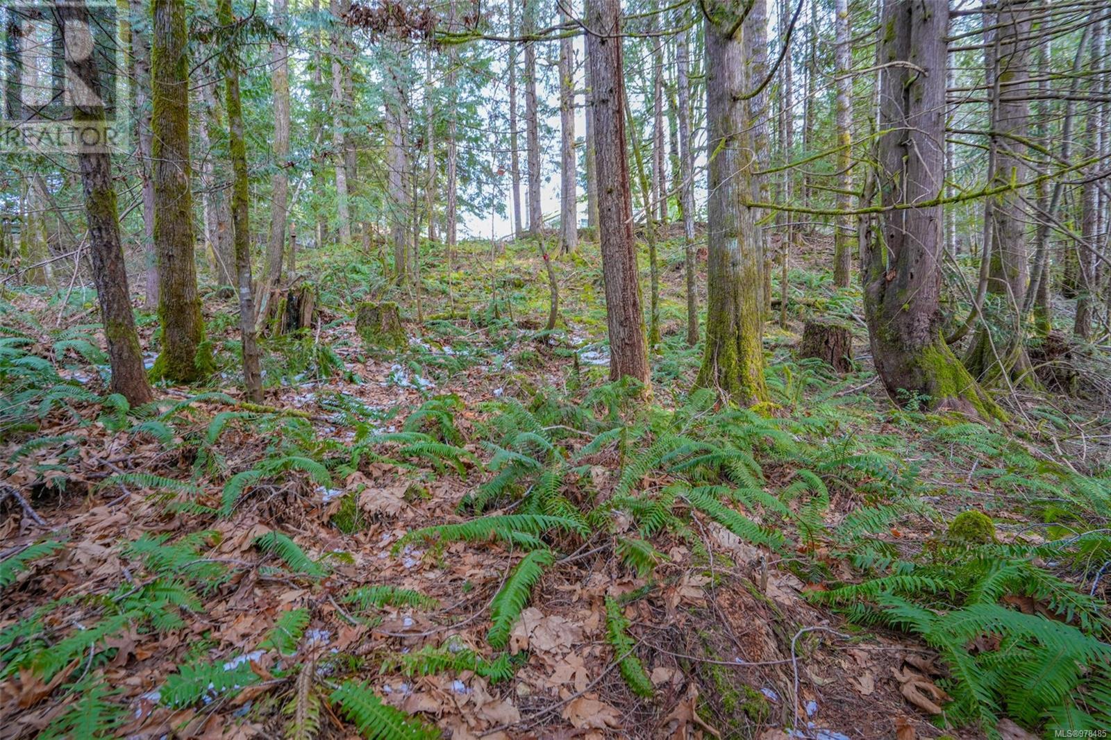 10440 Wilson Rd, Port Alberni