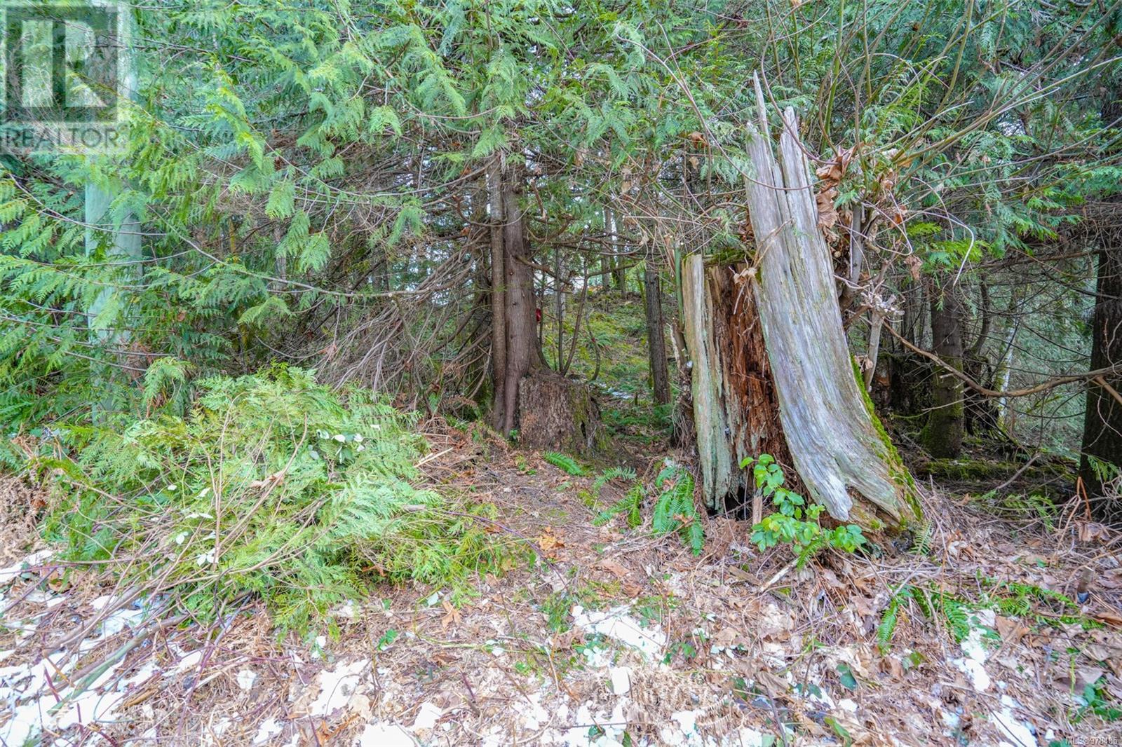 10440 Wilson Rd, Port Alberni real estate listing 978485