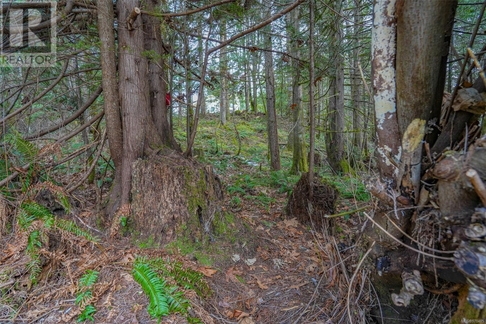 10440 Wilson Rd, Port Alberni real estate listing 978485