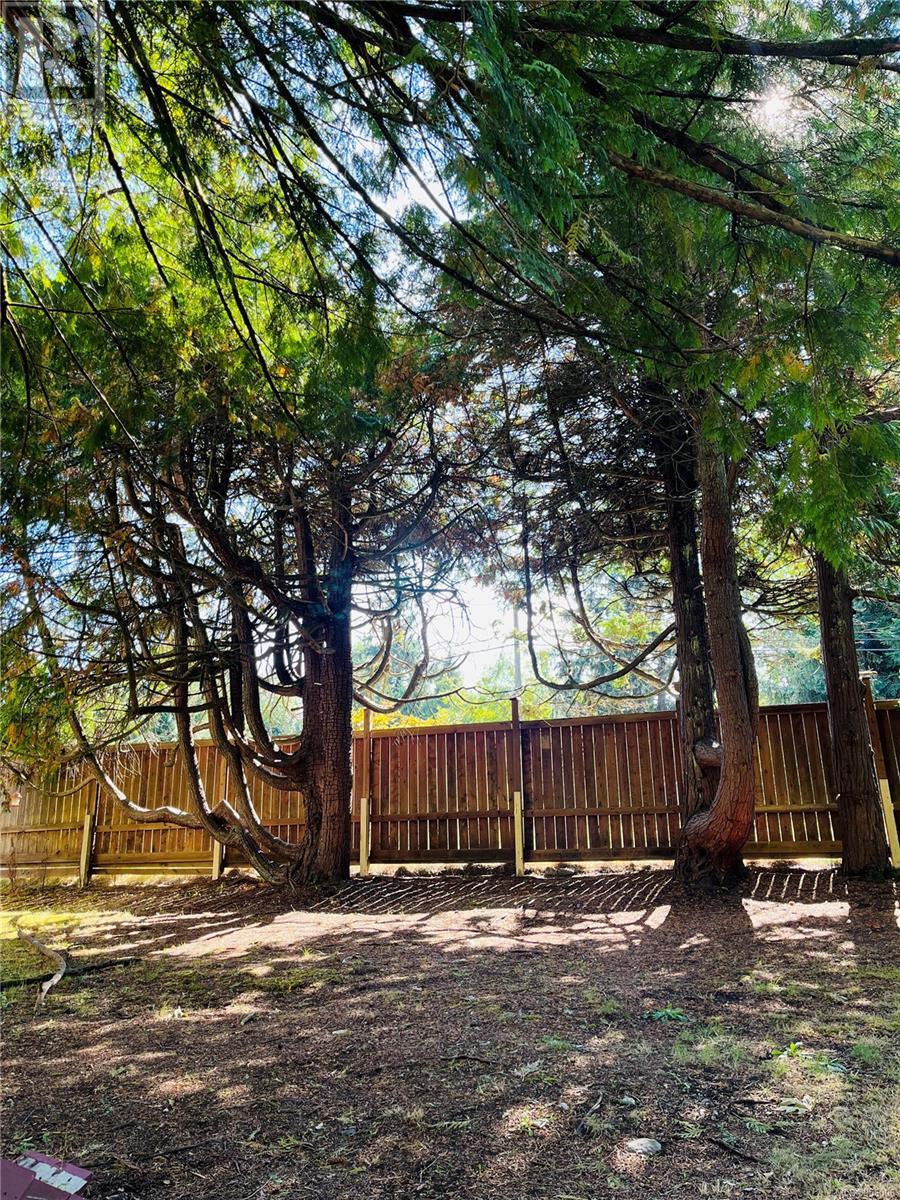 2420 Campbell River Rd, Campbell River real estate listing 956006