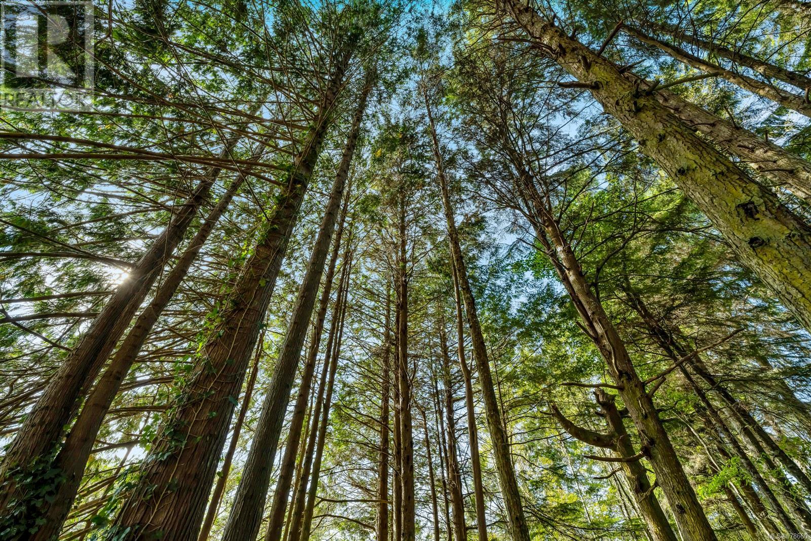 Photo 32 of 2465 Blackfish Rd, Sooke BC