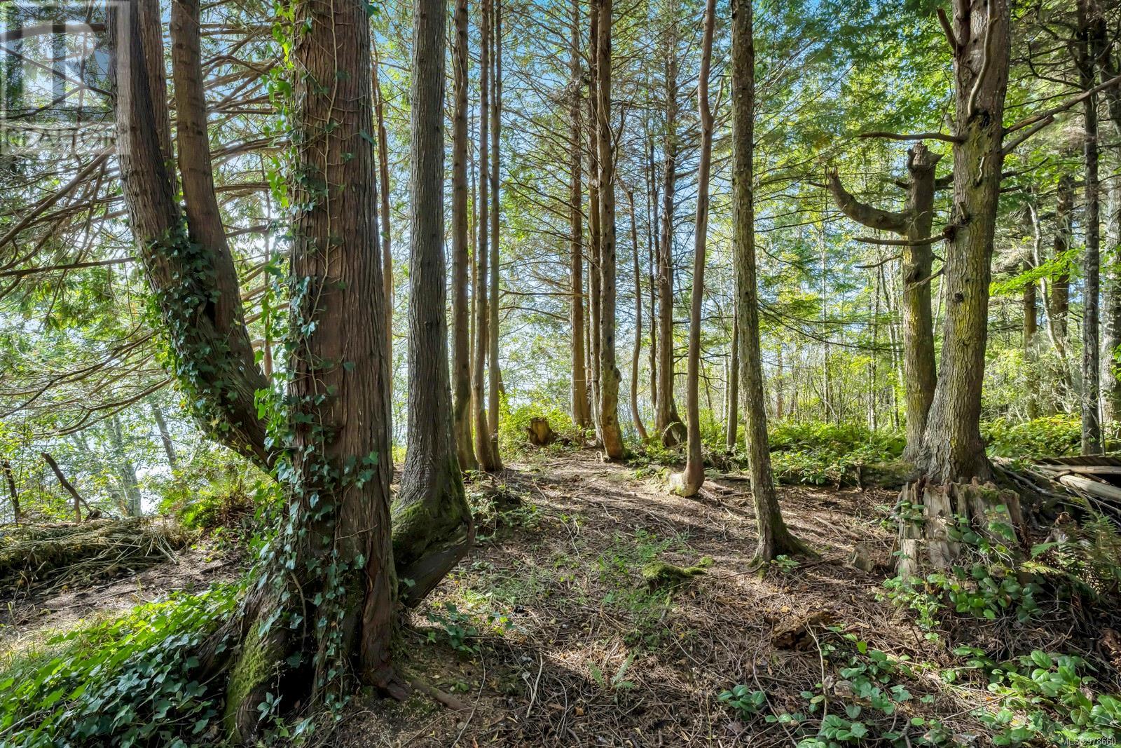 Photo 30 of 2465 Blackfish Rd, Sooke BC