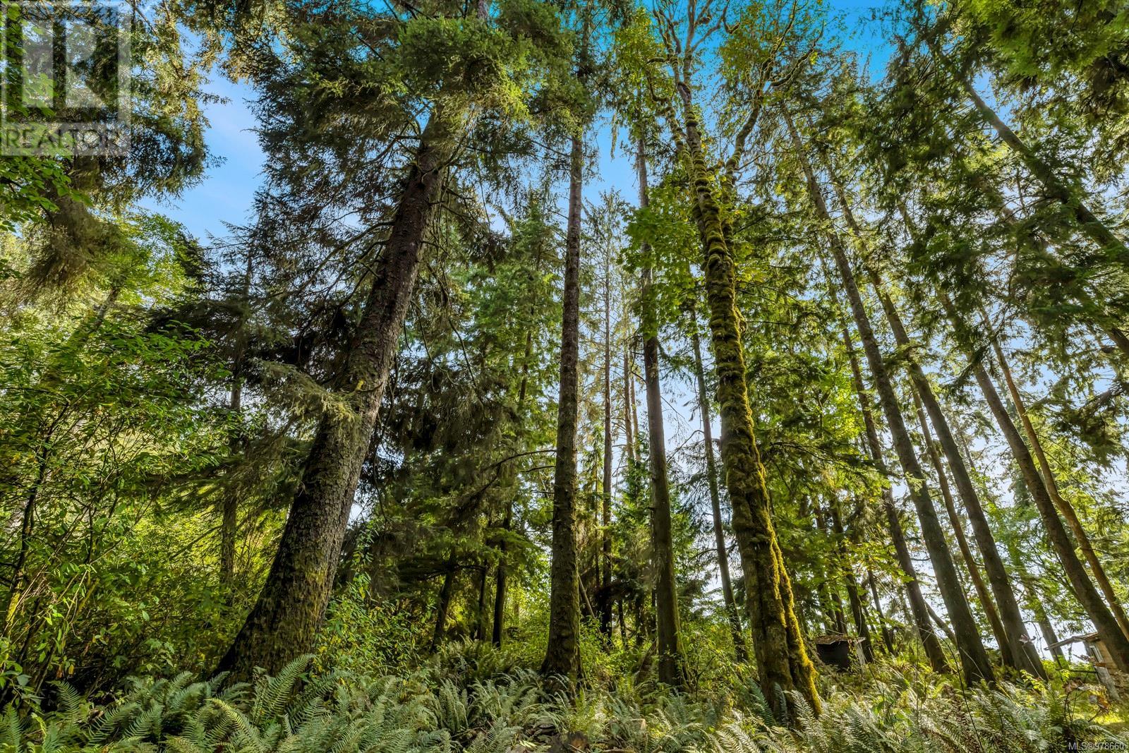 Photo 52 of 2465 Blackfish Rd, Sooke BC
