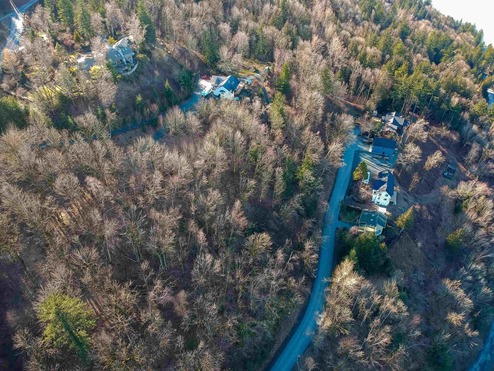 43207 SALMONBERRY DRIVE, Chilliwack Mountain, Chilliwack real estate listing C8063802