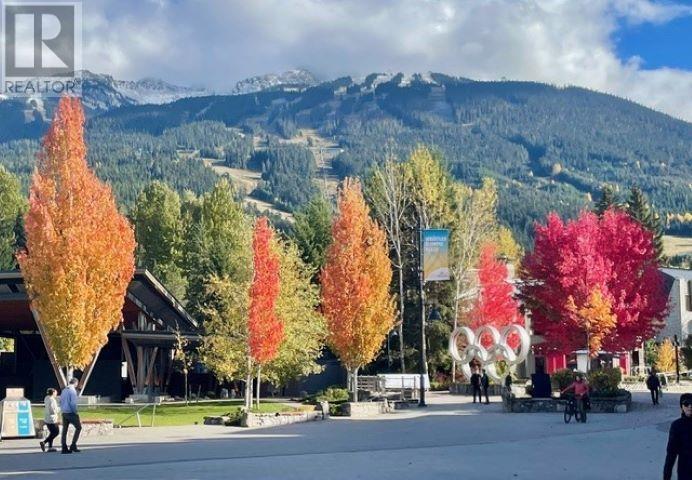304 wk 10-4338 MAIN STREET, Whistler