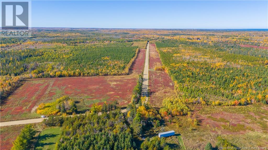 Photo 10 of Lot Morais Street, Bascaraquet NB