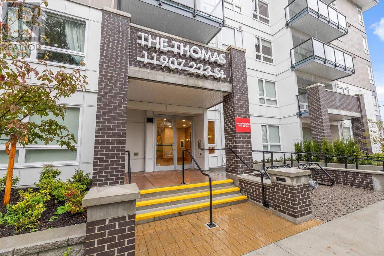 503 11907 223 STREET, Maple Ridge real estate listing R2920482