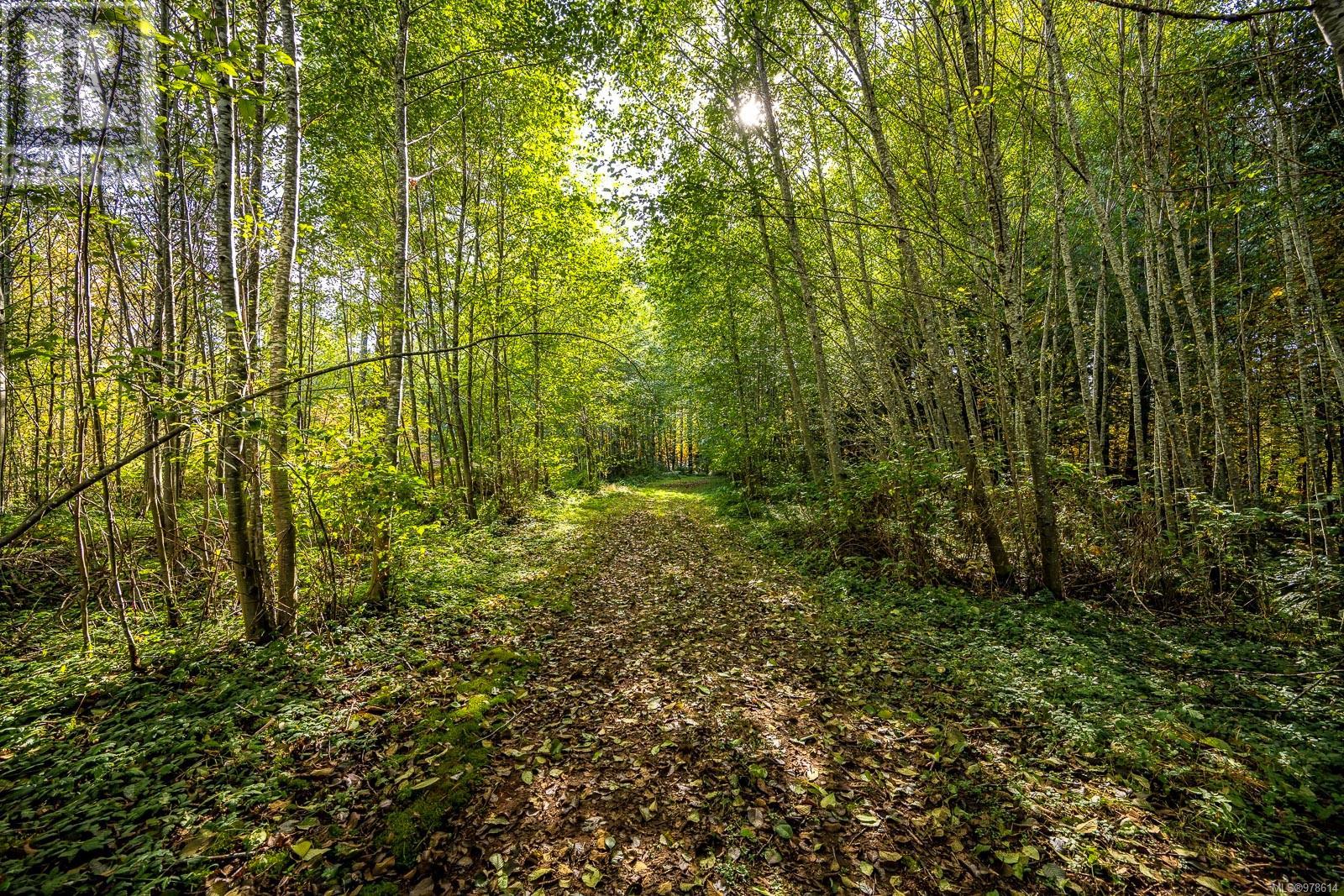 6979 Hills Rd, Port Alberni real estate listing 978614