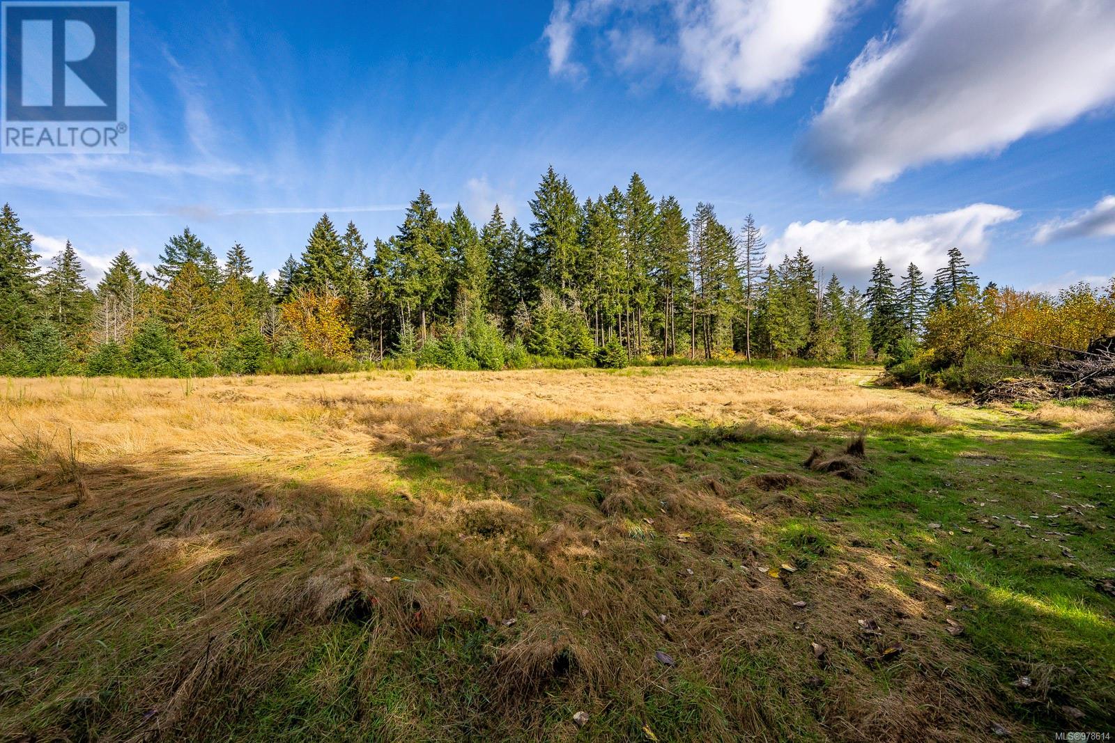 6979 Hills Rd, Port Alberni real estate listing 978614
