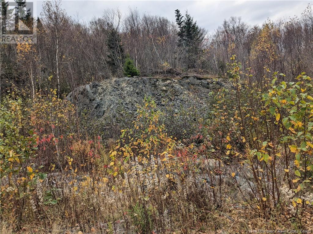 86-321 Fundy Drive, Campobello — photo 3