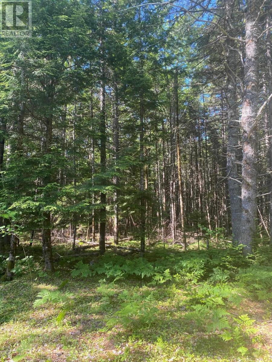 Lot PID 60493061 Huey Lake Road, Mount Pleasant, Nova Scotia