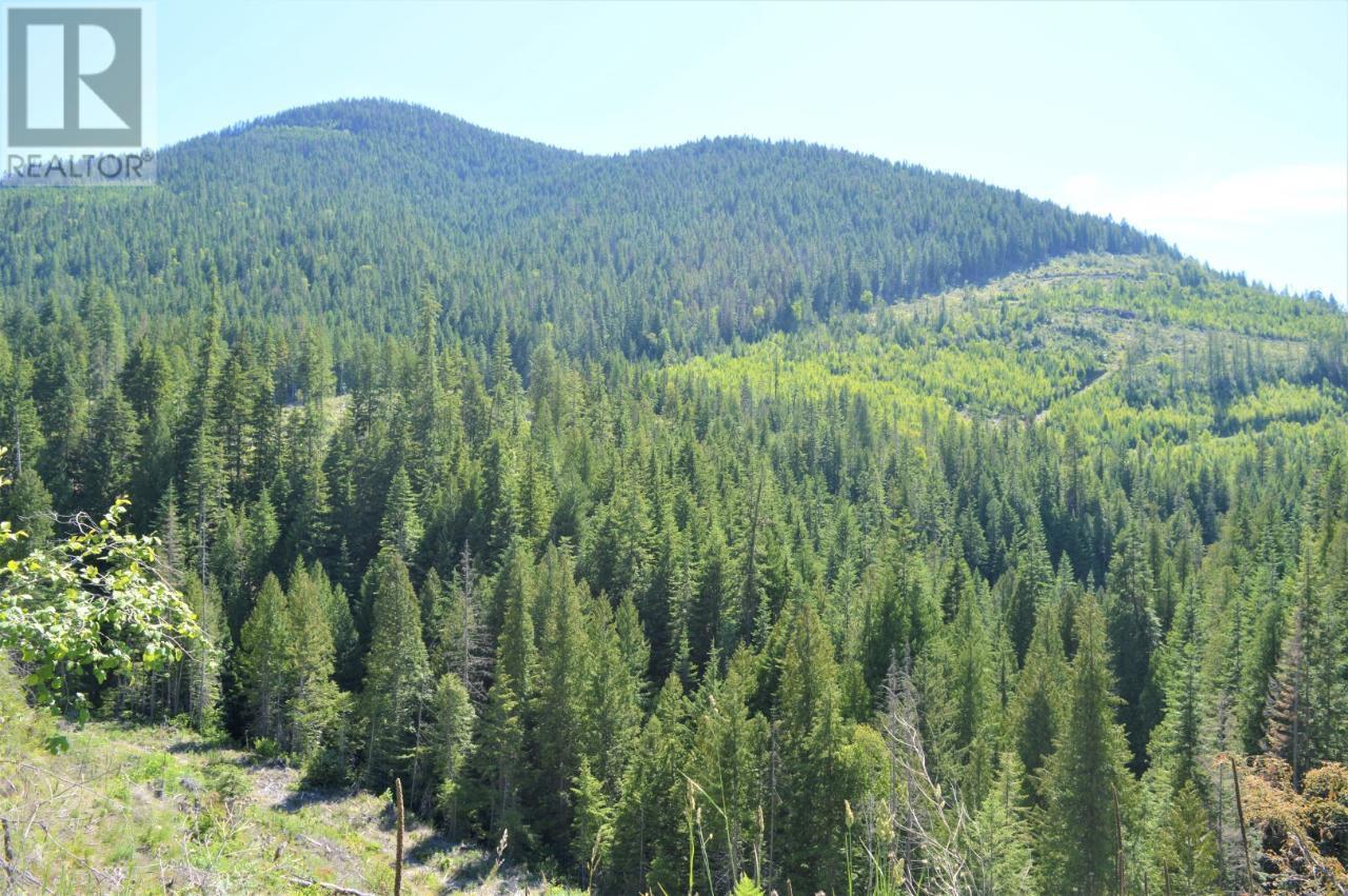  00 SEVEN MILE DAM Road, Fruitvale