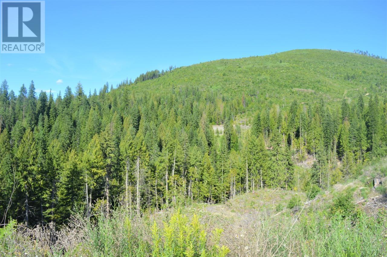  00 SEVEN MILE DAM Road, Fruitvale