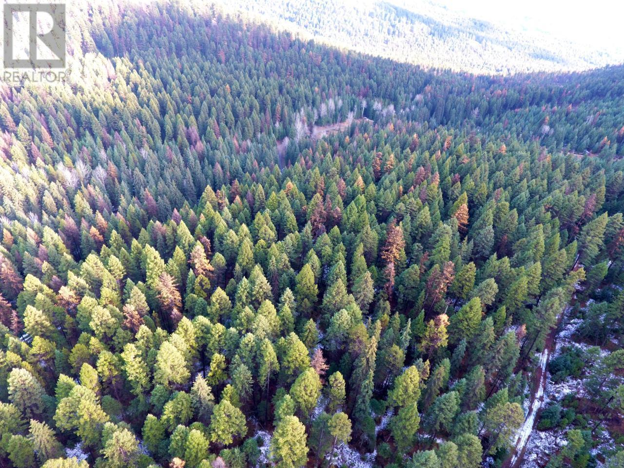 Lot 1213S INGRAM CREEK FOREST SERVICE Road, Rock Creek