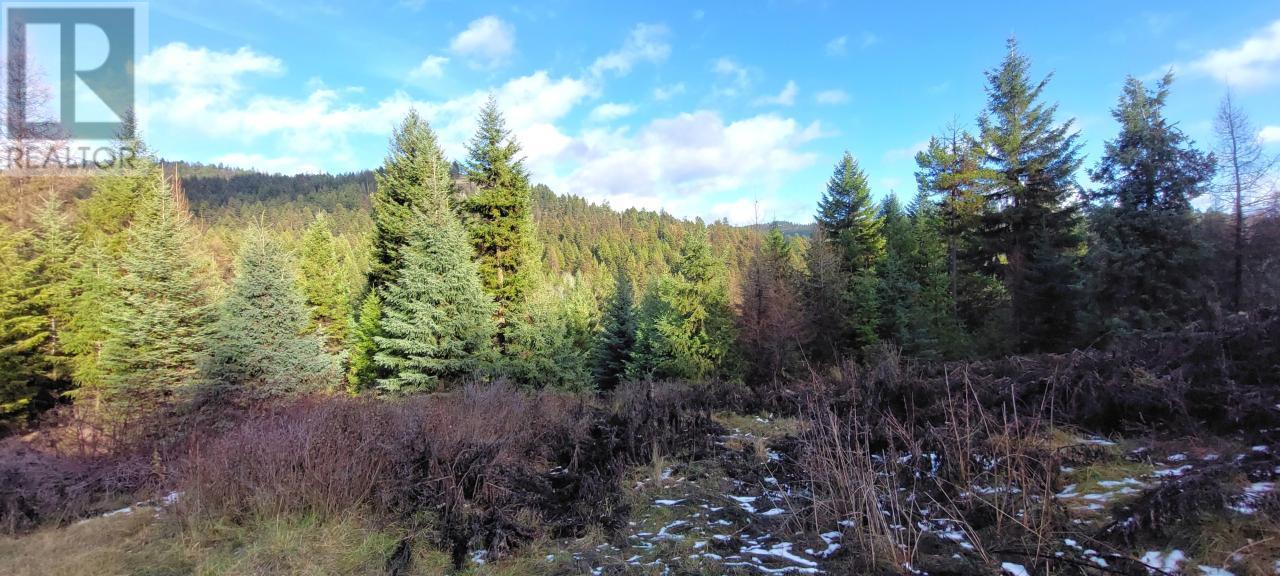 Lot 1213S INGRAM CREEK FOREST SERVICE Road, Rock Creek