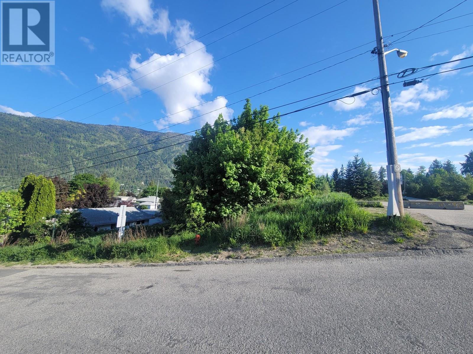  1007 COTTONWOOD Street, Nelson