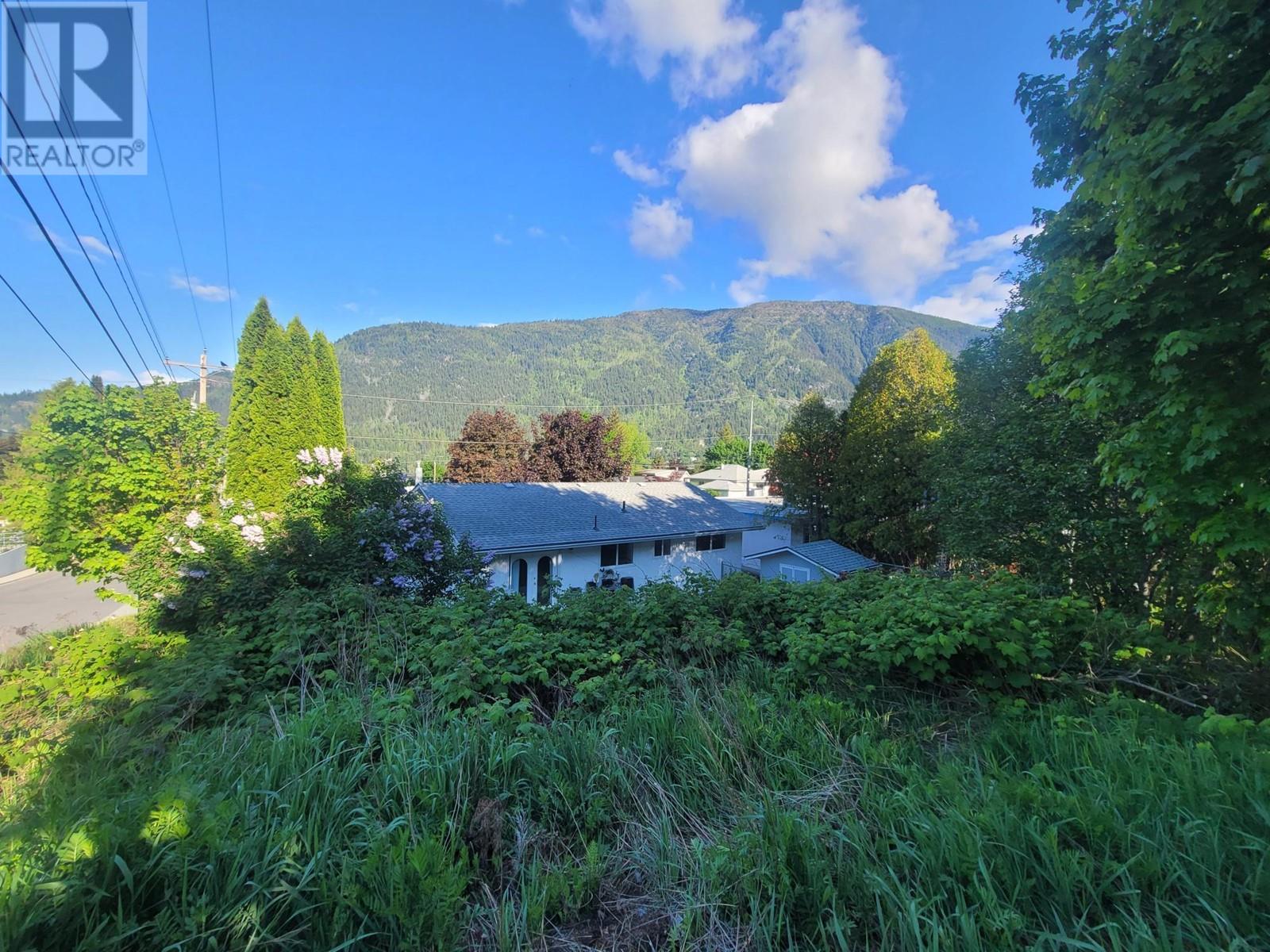  1007 COTTONWOOD Street, Nelson