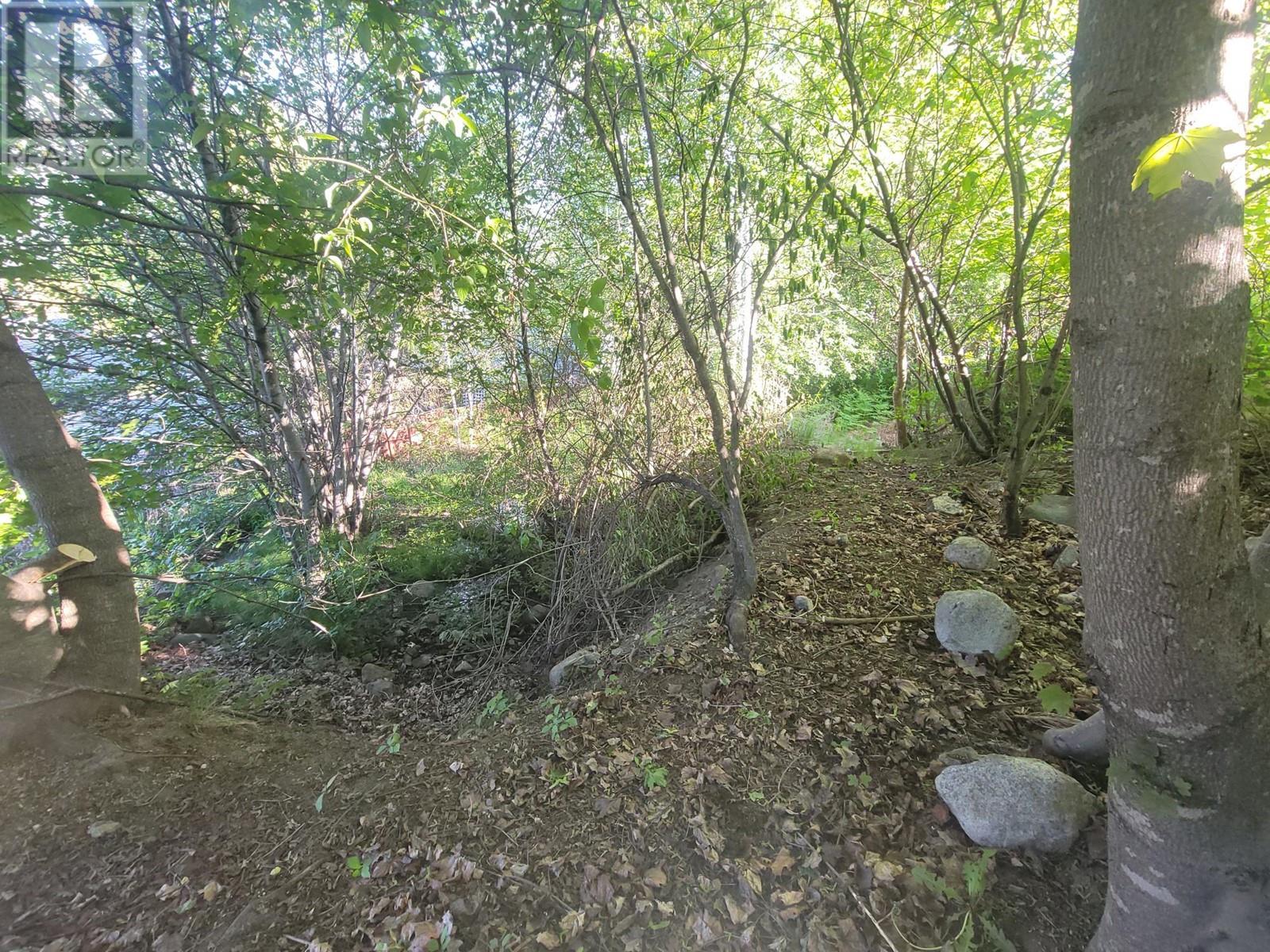  1007 COTTONWOOD Street, Nelson