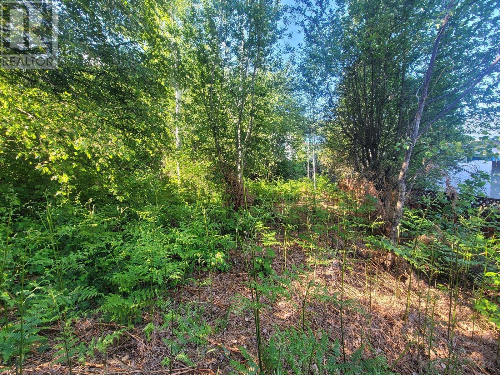  1007 COTTONWOOD Street, Nelson