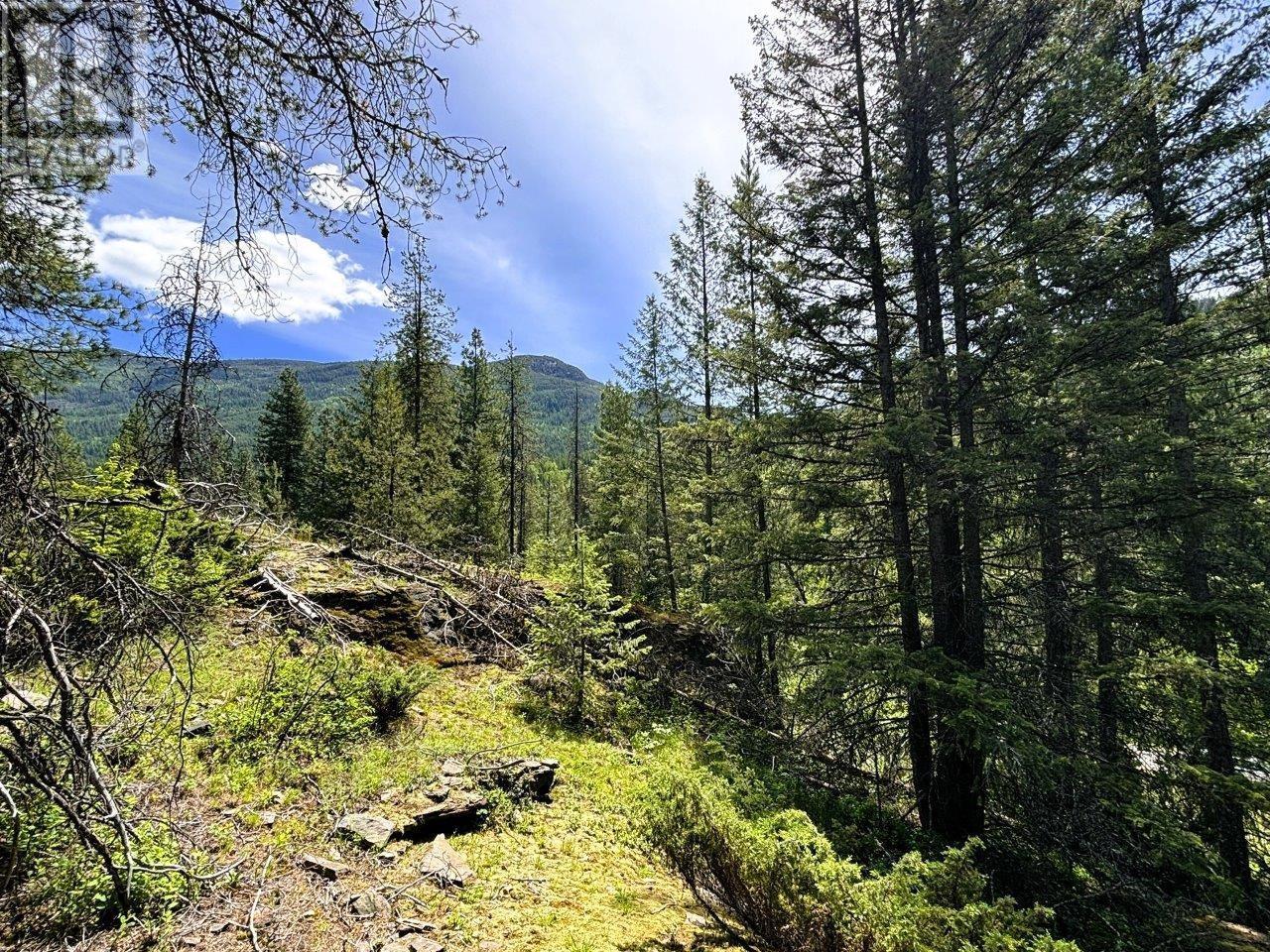  Lot 34 PASS CREEK Road, Castlegar