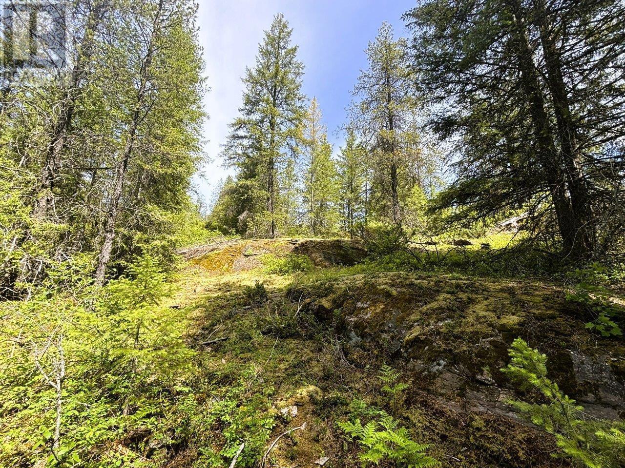  Lot 34 PASS CREEK Road, Castlegar