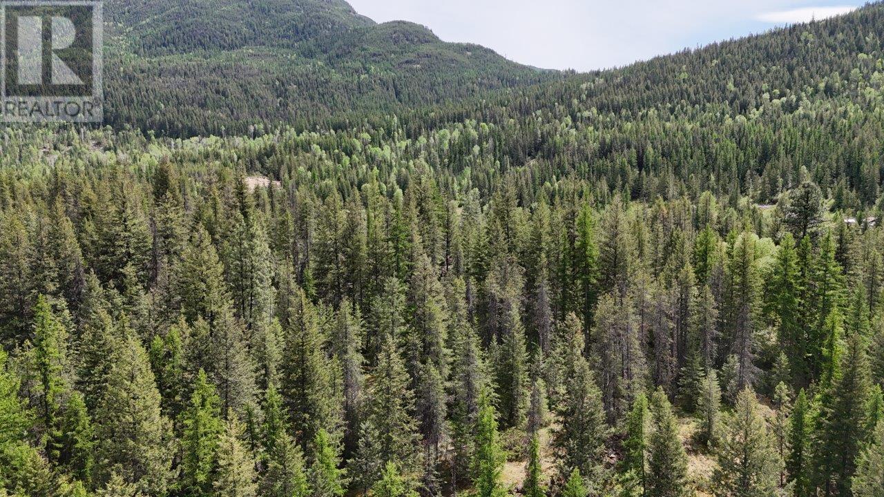  Lot 34 PASS CREEK Road, Castlegar