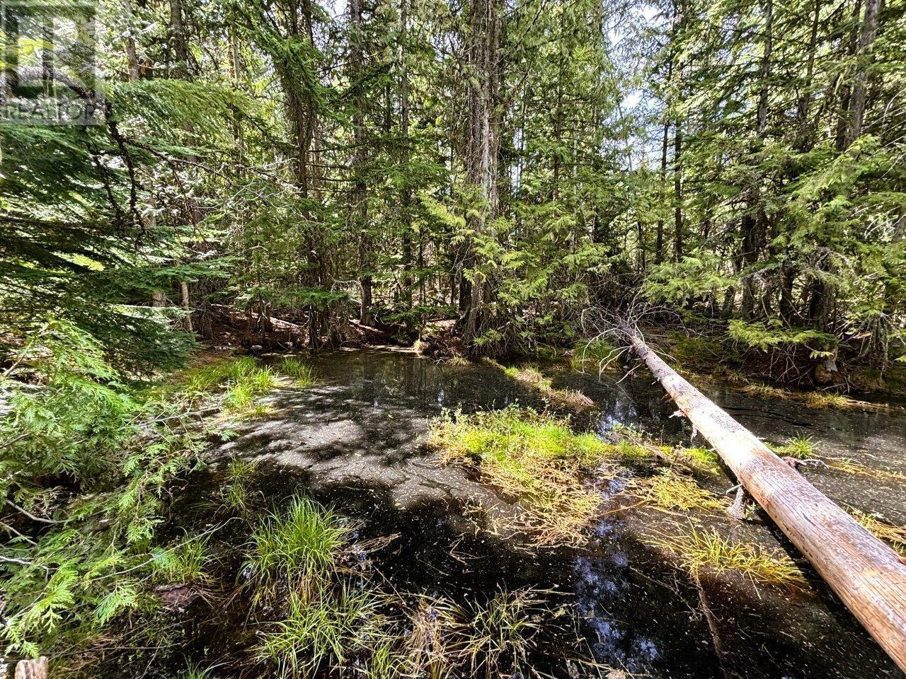  Lot 34 PASS CREEK Road, Castlegar