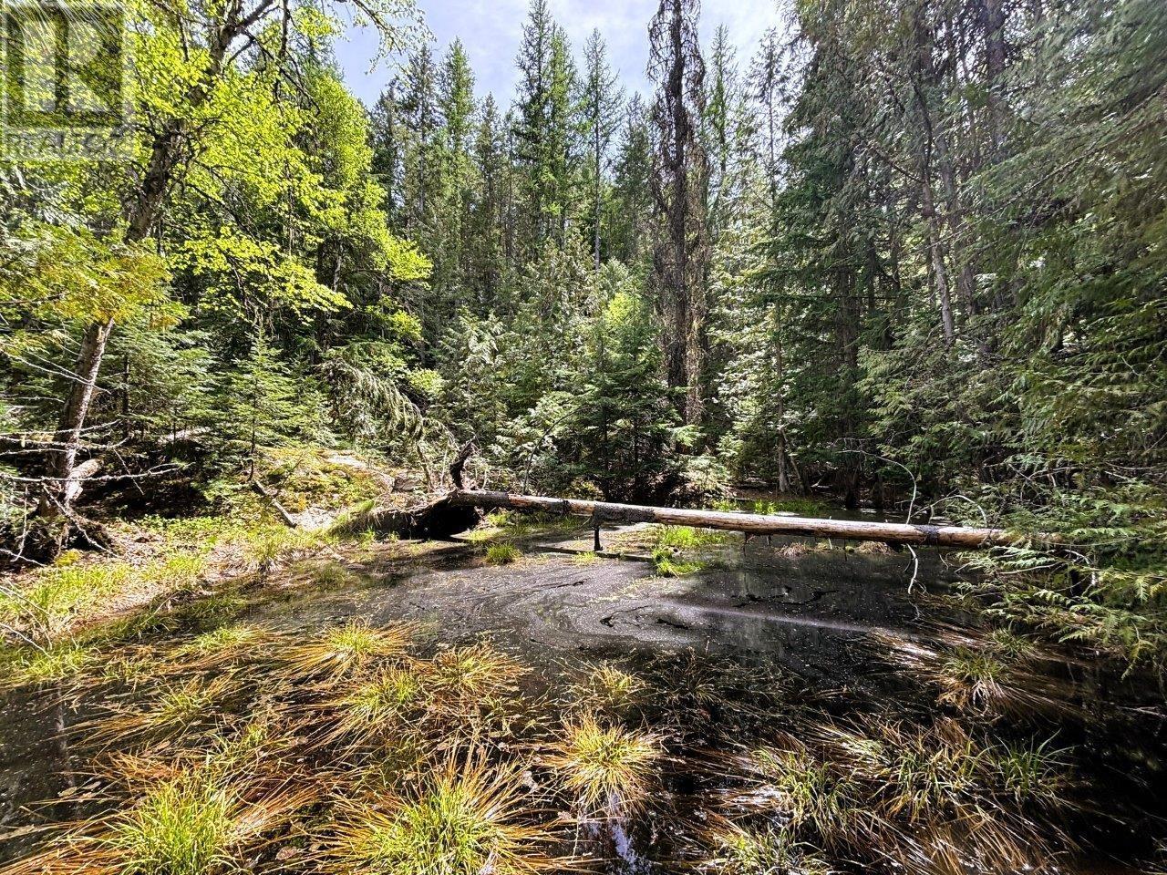 Lot 34 PASS CREEK Road, Castlegar