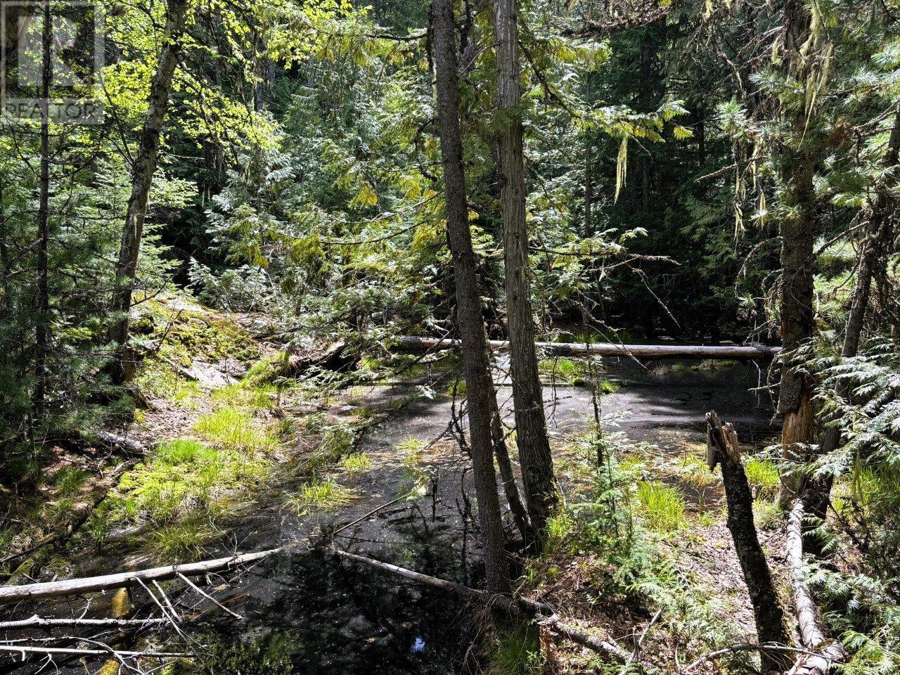  Lot 34 PASS CREEK Road, Castlegar