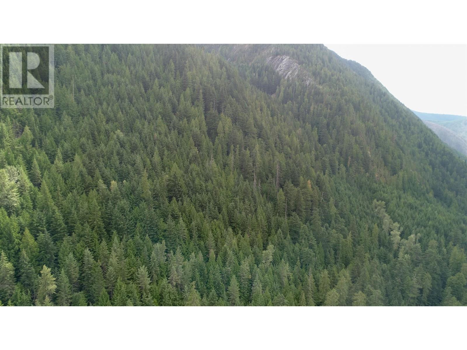 Photo 10 of Dl 15131 Sheep Crk Frst Road, Salmo BC