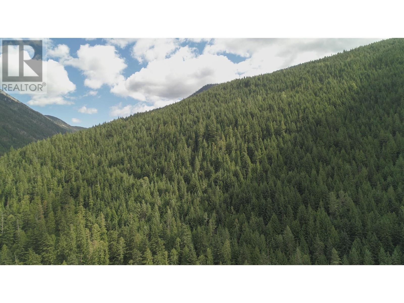 Photo 1 of Dl 15131 Sheep Crk Frst Road, Salmo BC
