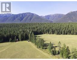 Dl7156 Potter Road, Invermere, BC V0A1K4 Photo 24