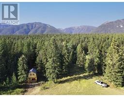 Dl7156 Potter Road, Invermere, BC V0A1K4 Photo 12