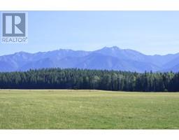 Dl7156 Potter Road, Invermere, BC V0A1K4 Photo 7
