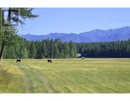 Dl7156 Potter Road, Invermere, BC V0A1K4 Photo 29
