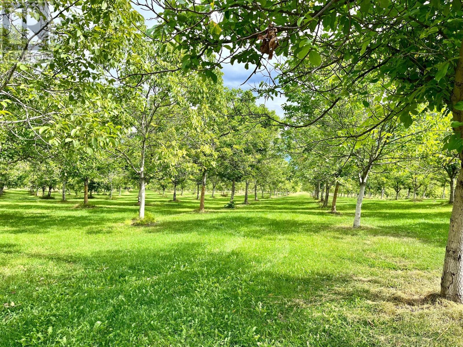 Lots 71-72 HARRISON Road - 39