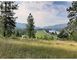 6189 Trans Canada Highway, Chase, BC V0E1M1 Photo 8