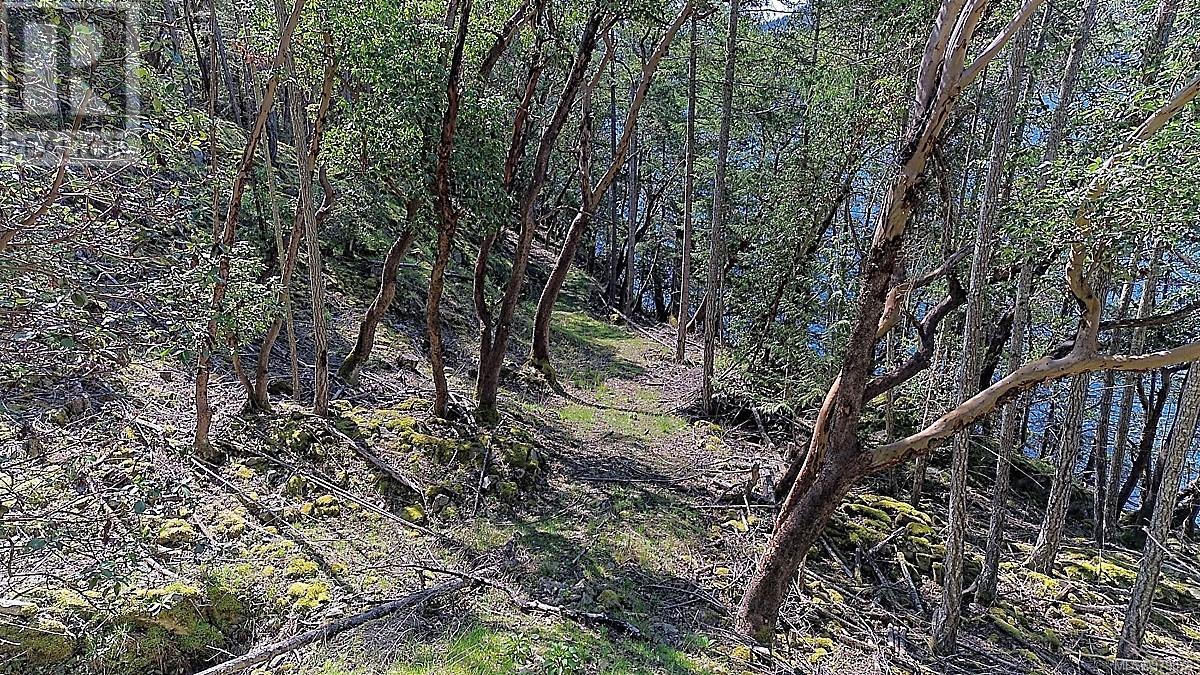 206 Narrows West Rd, Salt Spring