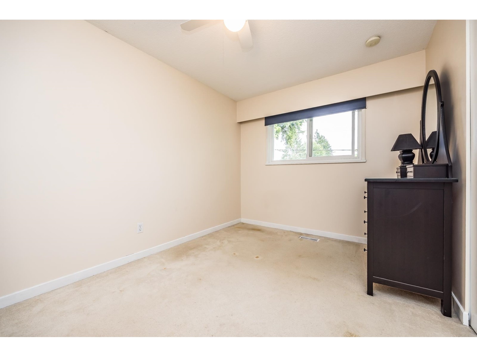 27179 28A AVENUE, Langley real estate listing R2939534
