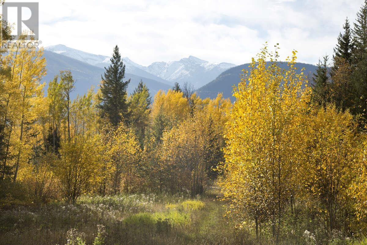 DL 6034 E 16 HIGHWAY, Valemount