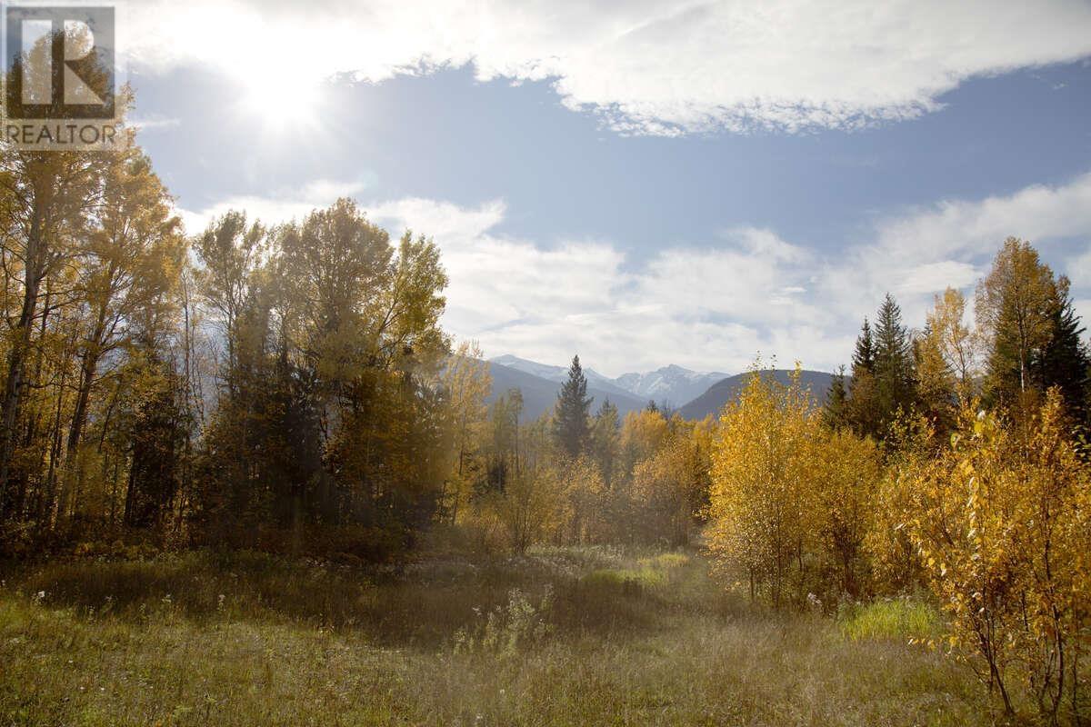 DL 6034 E 16 HIGHWAY, Valemount