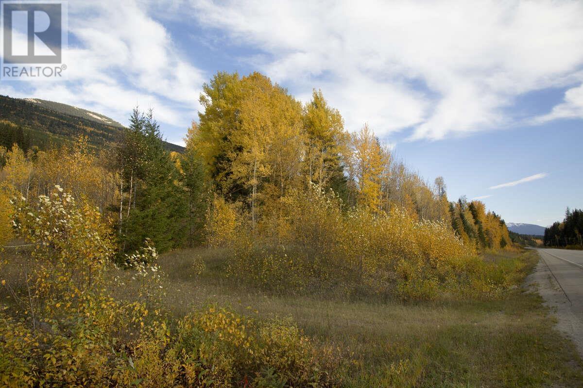 DL 6034 E 16 HIGHWAY, Valemount